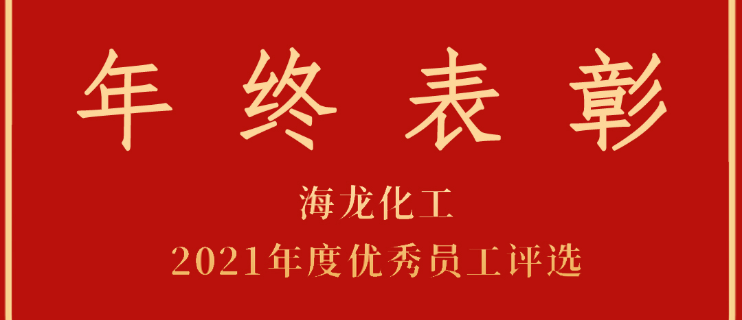 <strong>表彰！海龍化工2021年度優(yōu)秀員工優(yōu)秀部門(mén)評(píng)選</strong>