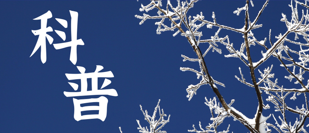 科普 | 冬季雨雪天氣?；愤\(yùn)輸車輛注意事項(xiàng)