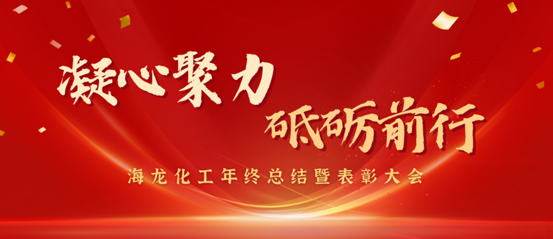 表彰 | 凝心聚力，砥礪前行，海龍化工年終總結(jié)暨表彰大會(huì)圓滿(mǎn)舉行