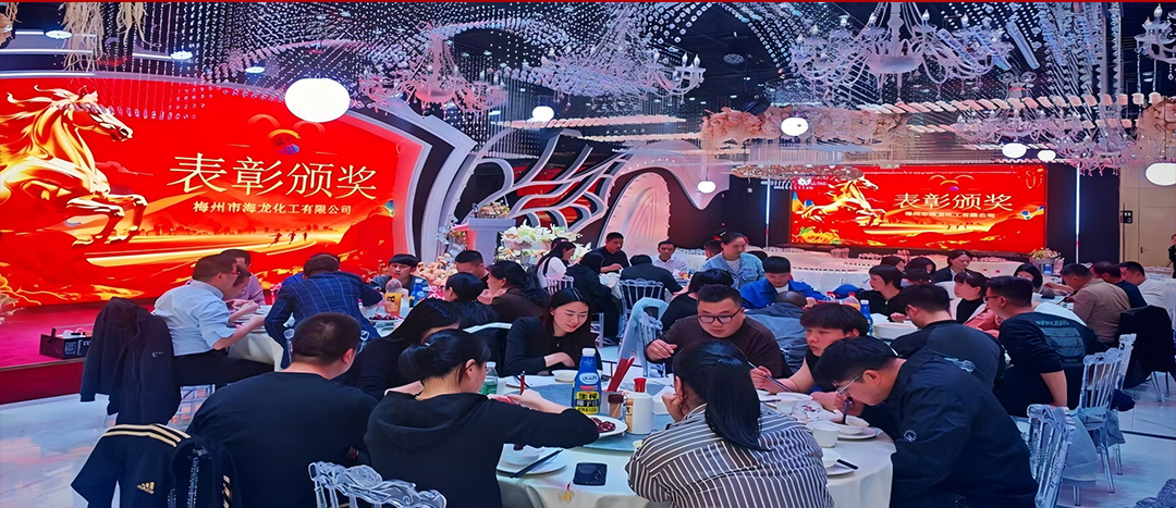 騏驥開(kāi)道，奮進(jìn)新篇 | 海龍化工2025年終工作總結(jié)表彰暨團(tuán)年晚宴圓滿落幕